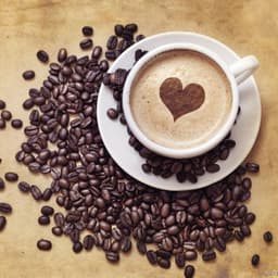 image-Supporting Appliances Fancy Coffee Coffee Appliances
