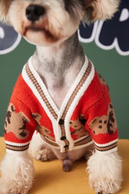 image-Dog Cat Sweater Preppy Style V-neck Striped Vest Pet Puppy Winter Warm Clothes Apparel For Dogs Cats
