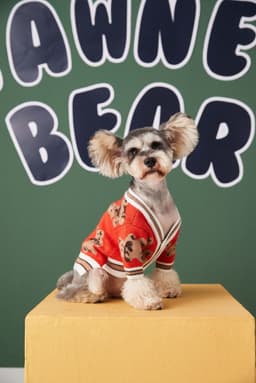 image-Dog Cat Sweater Preppy Style V-neck Striped Vest Pet Puppy Winter Warm Clothes Apparel For Dogs Cats