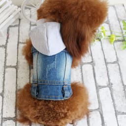 image-Designer Dog Clothes Small Dog Denim Jacket Coat Cat Costume Puppy Jeans Vest Spring Clothing