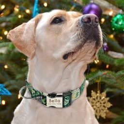 image-Pet Supplies Dog Collar High Reflective Durable Comfortable Breathable Adjustable Night Reflection
