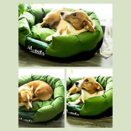 image-Four Seasons Universal Kennel Easy To Clean Square Kennel