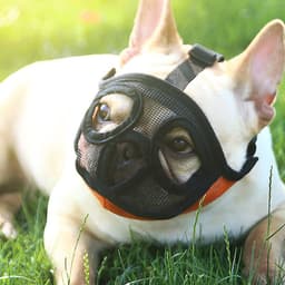 image-Hoopet Pet Small Dog French Bulldog Muzzle Dog Mouse Basket Breathable Muzzle For Dogs Leash Harness Supplies
