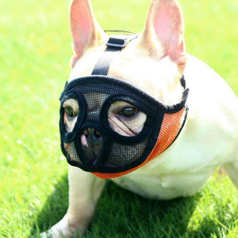 image-Hoopet Pet Small Dog French Bulldog Muzzle Dog Mouse Basket Breathable Muzzle For Dogs Leash Harness Supplies