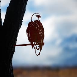 image-Bird Art Outdoor Garden Statues Backyard Lawn Stakes Metal Yard Decor Gift Garden Statues Decoration Ornament