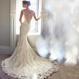 image-Sexy Halter Brigade Shooting Seaside Beach Location Mermaid Tail Light Wedding Dress