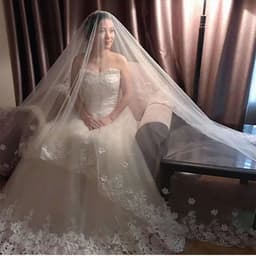 image-New Style Veil Korean Lace Petal Veil