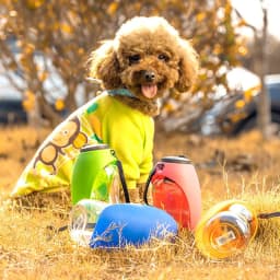 image-Pet Dog Water Bottle Drinking Portable Bowls For Small Large Dogs Feeding Water Dispenser Accompanying Cup Cat Bowl Pet Products