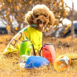 image-Pet Dog Water Bottle Drinking Portable Bowls For Small Large Dogs Feeding Water Dispenser Accompanying Cup Cat Bowl Pet Products