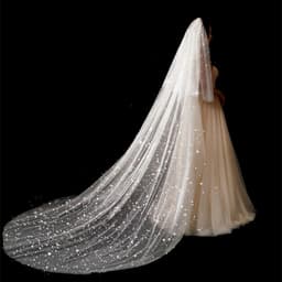 image-Bridal Wedding Dress Long Tail Luxury Super Fairy Wedding Veil