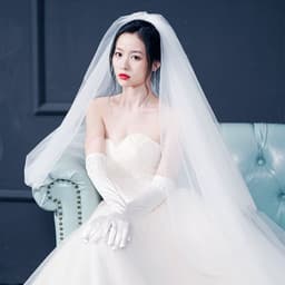 image-Bridal Wedding Dress Long Tail Luxury Super Fairy Wedding Veil