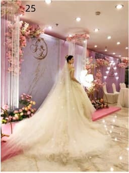 image-Bridal Wedding Dress Long Tail Luxury Super Fairy Wedding Veil