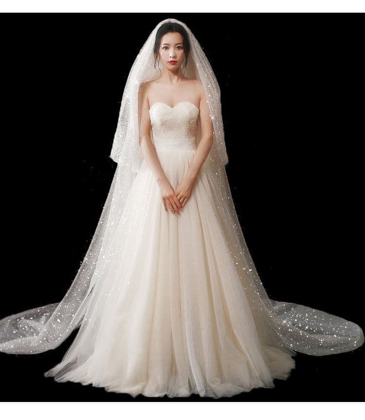 image-Bridal Wedding Dress Long Tail Luxury Super Fairy Wedding Veil