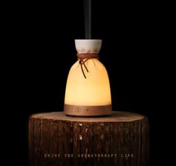 image-Wood Aromatherapy Desk Lamp Humidifier Aromatherapy Machine