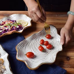 image-Shaped plate shell plate