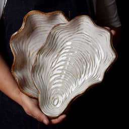 image-Shaped plate shell plate