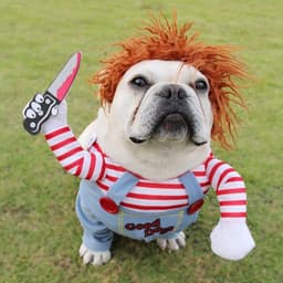 image-Halloween Pet Costume Pet Dog Funny Clothes Adjustable Dog Cosplay Costume Scary Costume Party Gatherings