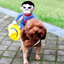 image-Halloween Pet Costume Pet Dog Funny Clothes Adjustable Dog Cosplay Costume Scary Costume Party Gatherings