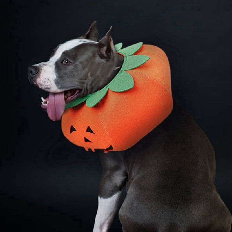image-Pet Halloween Pumpkin Collars Cute Pet Cosplay Accessories