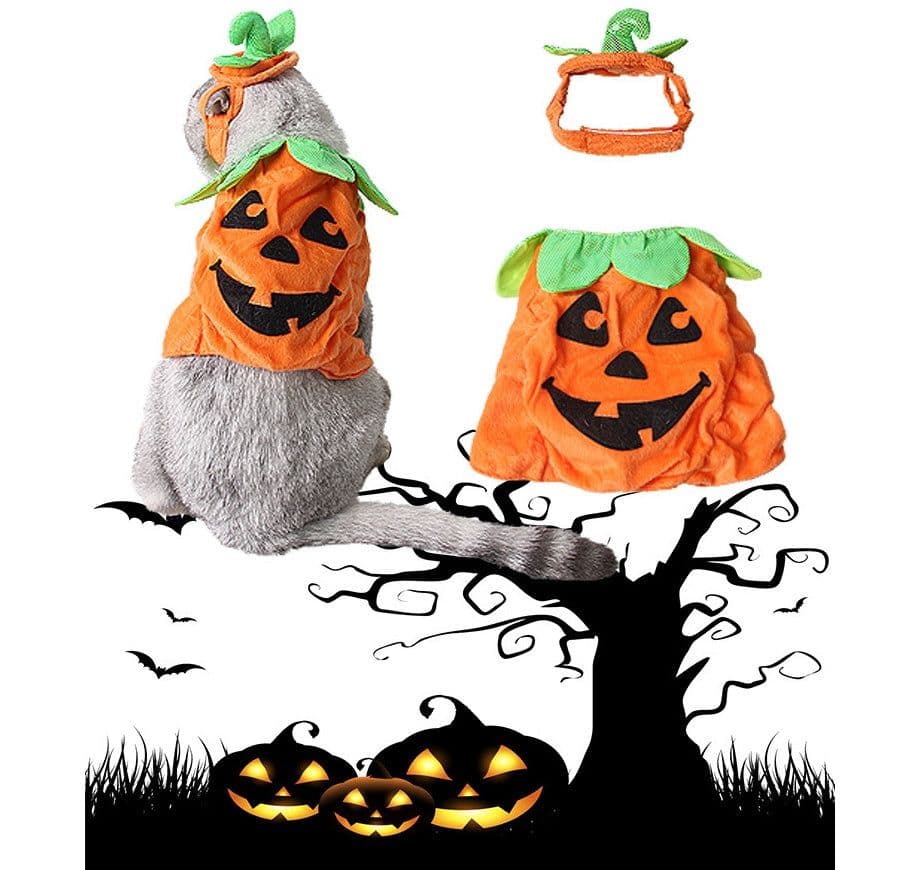 image-Halloween Pet Cats Costume Props Creative Pumpkin Shape Green Leaf Decoration Cosplay Clothing Holiday Garment Supplies