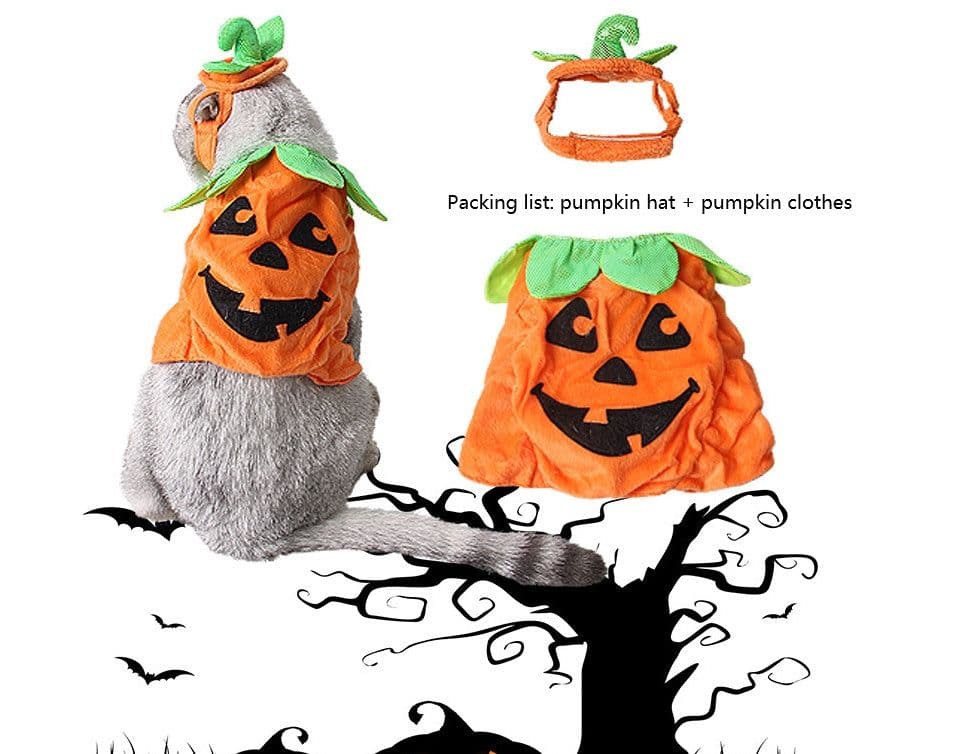 image-Halloween Pet Cats Costume Props Creative Pumpkin Shape Green Leaf Decoration Cosplay Clothing Holiday Garment Supplies