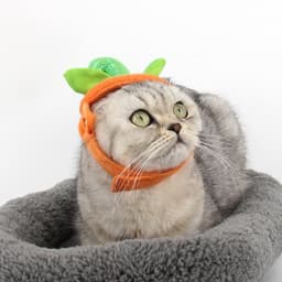 image-Halloween Pet Cats Costume Props Creative Pumpkin Shape Green Leaf Decoration Cosplay Clothing Holiday Garment Supplies