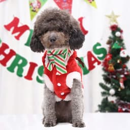 image-Christmas Poppy Dog Costume Santa Elk Winter Cute Christmas Tree Lovely Deer Sweater