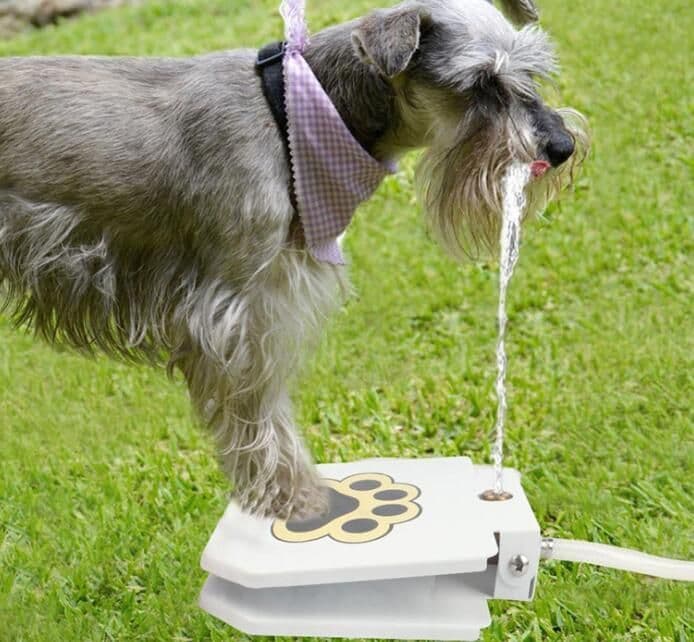 image-Outdoor Dog Pet Water Fountain
