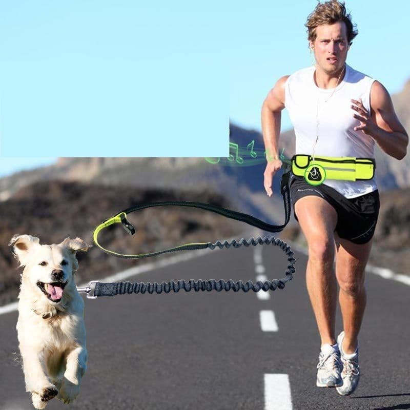 image-Hands-Free Dog Running Leash with Waist Pocket Adjustable Belt Shock Absorbing Bungee
