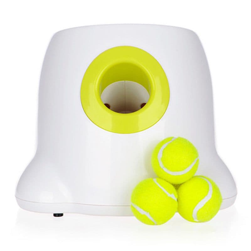 image-Dog Pet Automatic Interactive Ball Launcher