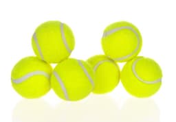 image-Dog Pet Automatic Interactive Ball Launcher