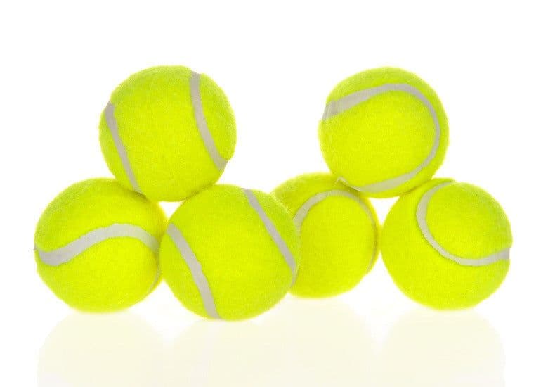 image-Dog Pet Automatic Interactive Ball Launcher
