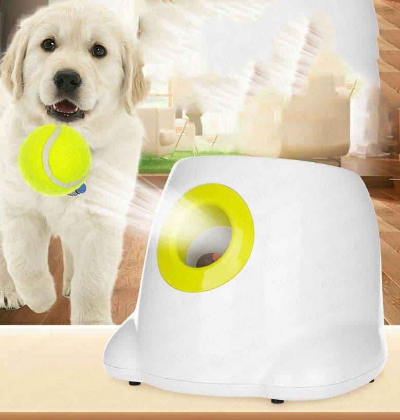 image-Dog Pet Automatic Interactive Ball Launcher