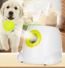image-Dog Pet Automatic Interactive Ball Launcher