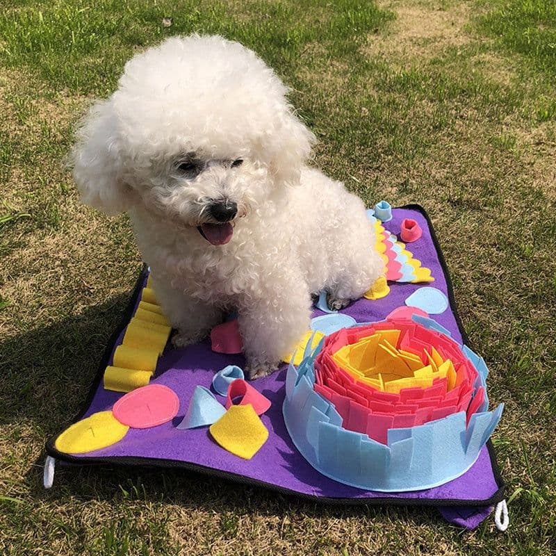 image-Pet Sniffing Pad Training Blanket Feeding Mat Dog Foraging Skills Toys Pet Activity Training Blanket