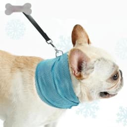 image-New Instant Cooling Pet Bandana Dog Scarf Summer Cooling Towel Wrap Dog Collar