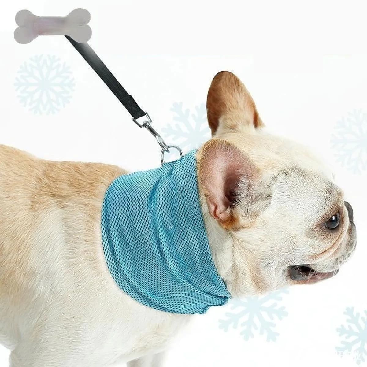 image-New Instant Cooling Pet Bandana Dog Scarf Summer Cooling Towel Wrap Dog Collar