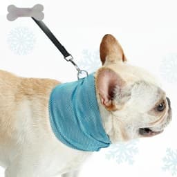 image-New Instant Cooling Pet Bandana Dog Scarf Summer Cooling Towel Wrap Dog Collar