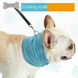 image-New Instant Cooling Pet Bandana Dog Scarf Summer Cooling Towel Wrap Dog Collar