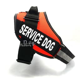 image-Chest strap
