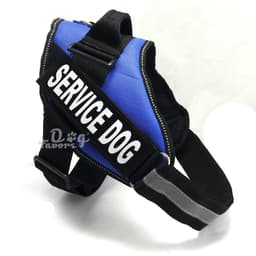 image-Chest strap