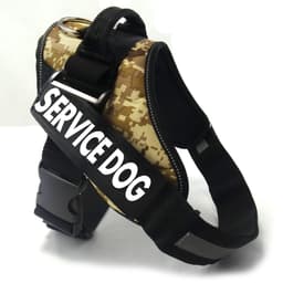 image-Chest strap