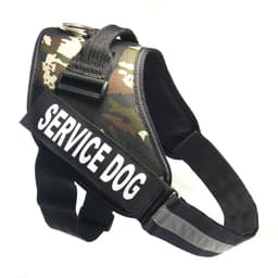 image-Chest strap