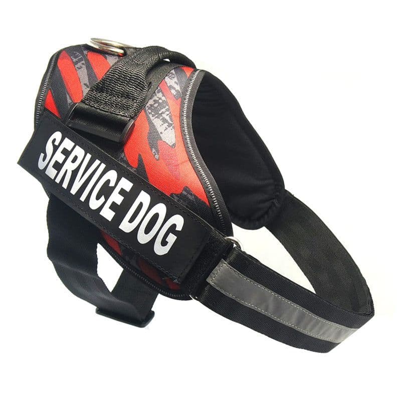 image-Chest strap