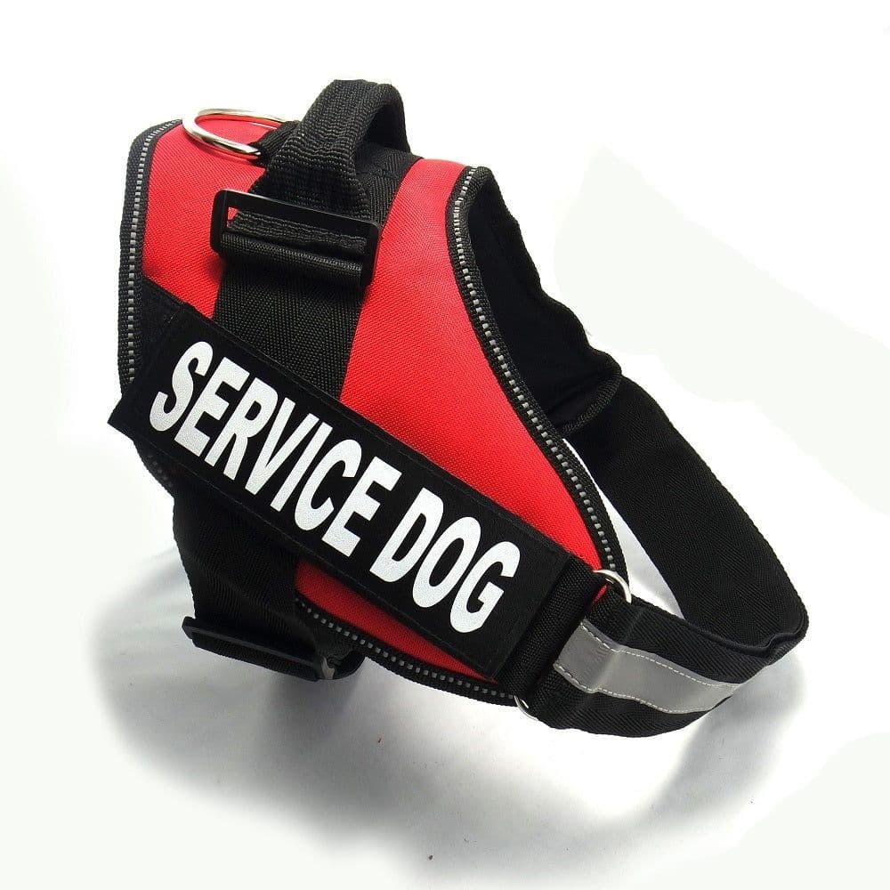 image-Chest strap