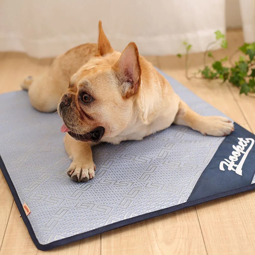 image-Dog Cooling Mat Summer Pad Mat For Dogs Cat Breathable Blanket Cat Ice Pads Washable Sofa Breathable Pet Dog Bed Pet Mat