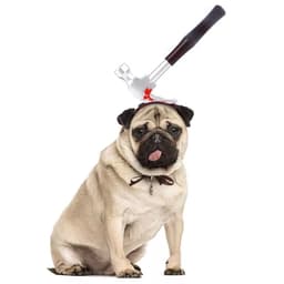 image-Pet Dog Cats Headdresses Halloween Pet Cat Headgear