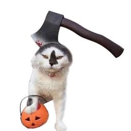 image-Pet Dog Cats Headdresses Halloween Pet Cat Headgear