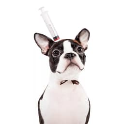 image-Pet Dog Cats Headdresses Halloween Pet Cat Headgear