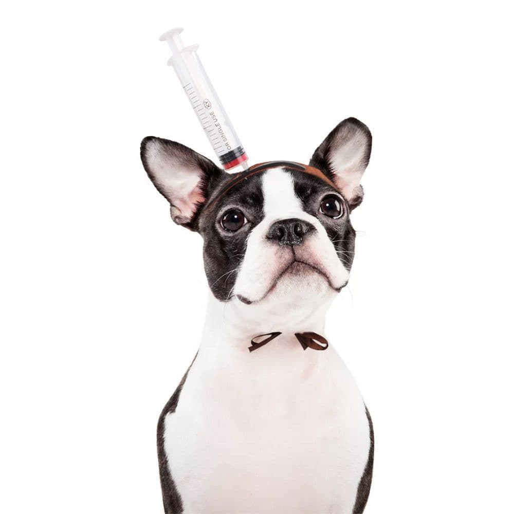 image-Pet Dog Cats Headdresses Halloween Pet Cat Headgear